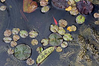 《忍者龙剑传4》从《银翼杀手》《攻壳机动队》中汲取灵感